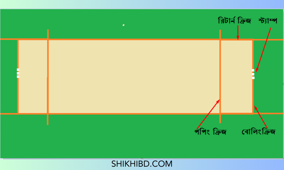 ক্রিকেট পিচের বিভিন্ন অংশের নাম