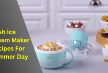 Dash Ice Cream Maker Recipes (My Mug Cool Ice Cream For Summer Day)