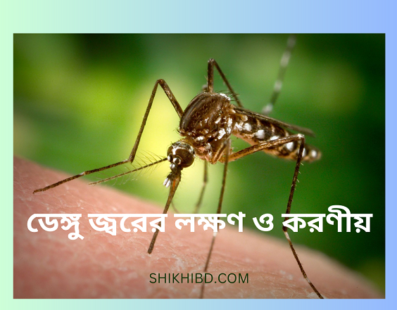 ডেঙ্গু জ্বরের লক্ষণ ও করণীয়