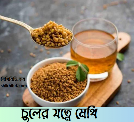 চুলের যত্নে মেথি