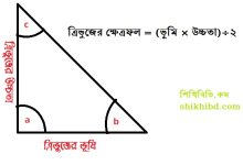 ত্রিভুজ কাকে বলে? ত্রিভুজ কত প্রকার? ত্রিভুজের ক্ষেত্রফল ও পরিসীমা