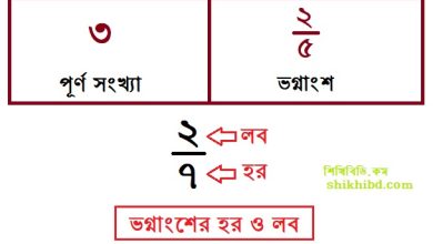 ভগ্নাংশ কাকে বলে ? ভগ্নাংশ কত প্রকার ? বিস্তারিত