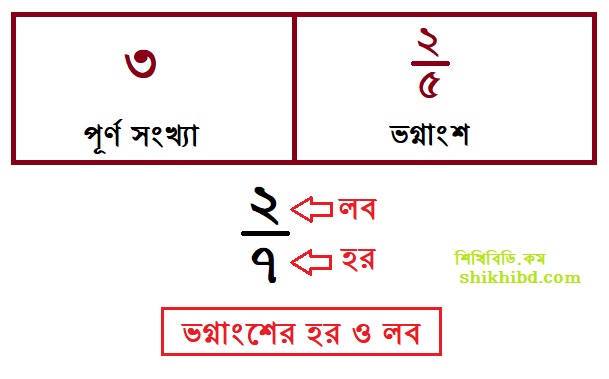 ভগ্নাংশ কাকে বলে ? ভগ্নাংশ কত প্রকার ? বিস্তারিত