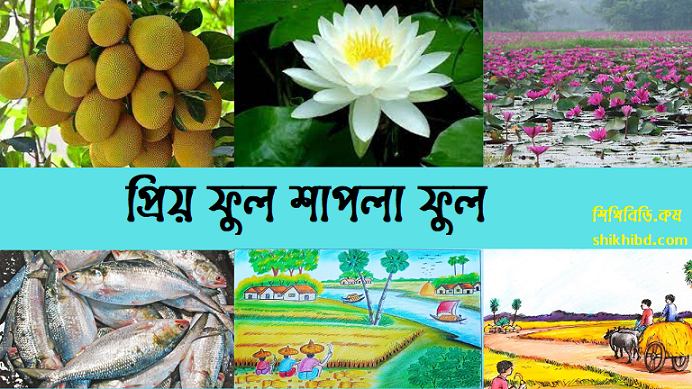 প্রিয় ফুল শাপলা ফুল গান