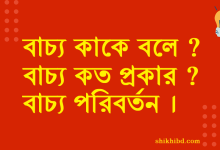 বাচ্য কাকে বলে