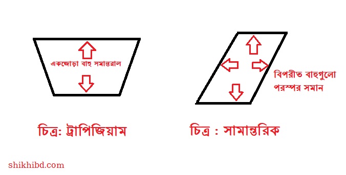 ট্রাপিজিয়াম কাকে বলে