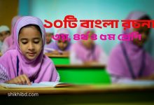 বাংলা রচনা । প্রাথমিক স্তরের জন্য ১০টি রচনা