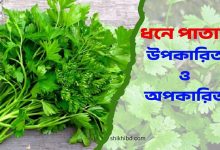 ধনে পাতার উপকারিতা