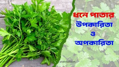 ধনে পাতার উপকারিতা