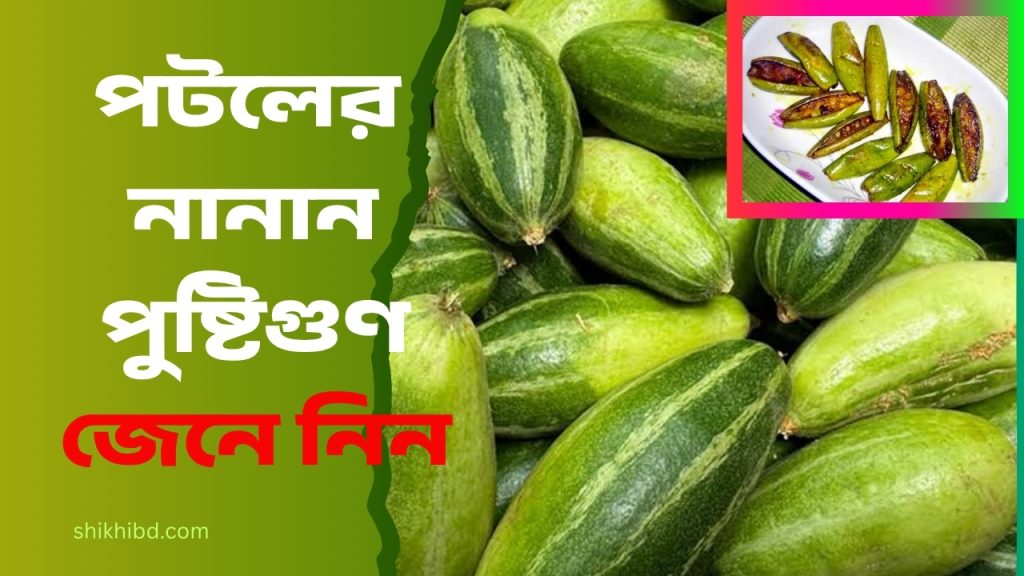 পটলের উপকারিতা ও পুষ্টিগুণ জেনে নিন