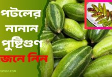 পটলের উপকারিতা ও পুষ্টিগুণ জেনে নিন