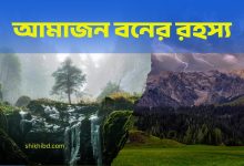 আমাজন বনের রহস্য