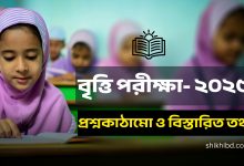 বৃত্তি পরীক্ষার প্রশ্নকাঠামো ২০২৫